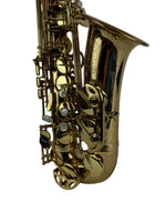 Selmer Super Action 80 Series II Alto Saxophone